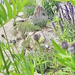 펜션 Sommerwiese - Abc327 *