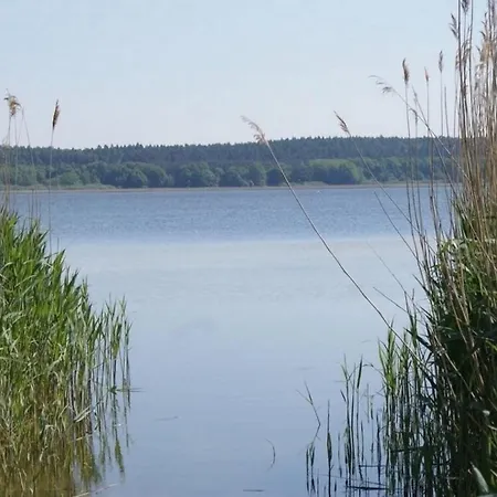 Sommerwiese - Abc327 *